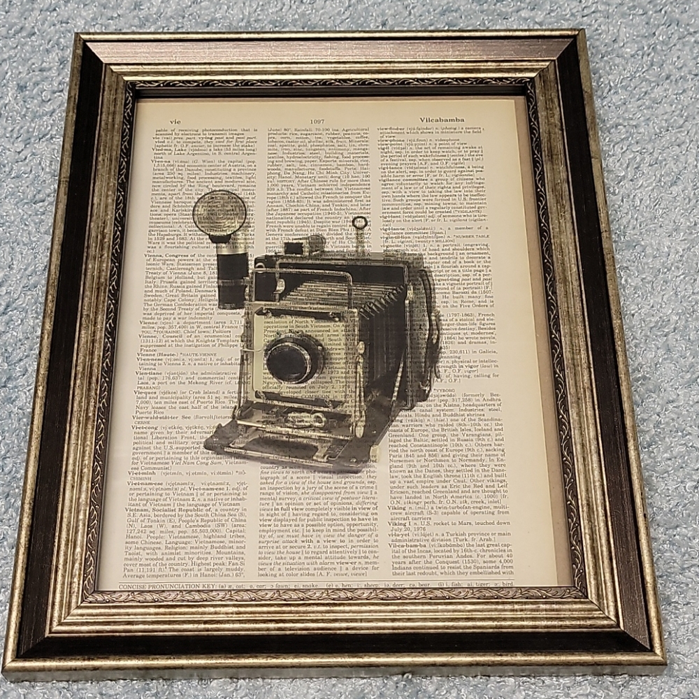 Camera wall art